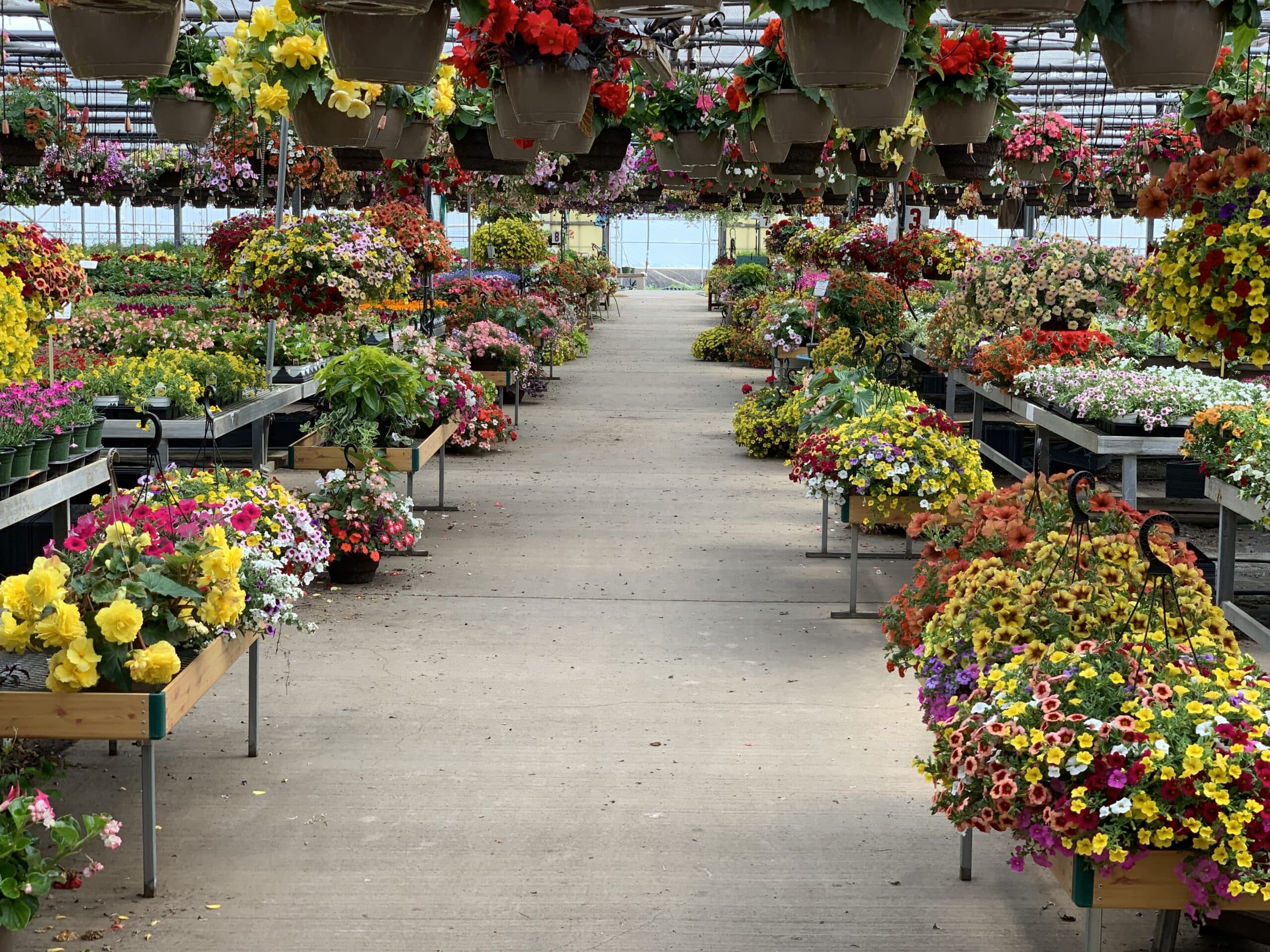 Kolze's Corner Gardens